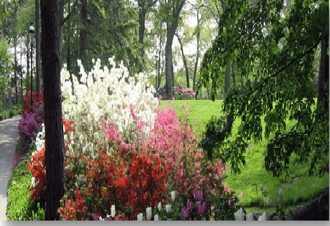 cape cod garden tours