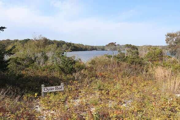 kettle ponds on cape cod