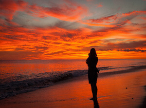 silhouette person sunset view beach line cape cod island