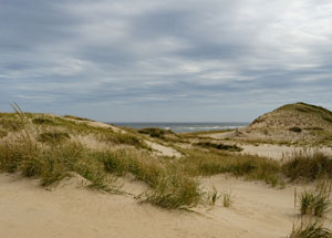 photo of sand dunes at dune shacks of cape cod_peaked hill bars historic district_things to do on cape cod