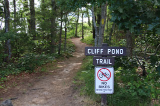 cliff pond trail in cape cod_hiking in cape cod_things to do on cape cod