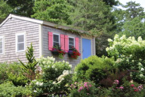 cottage surrounded white pink rose cape cod island