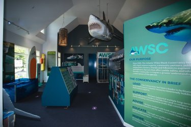 chatham shark center
