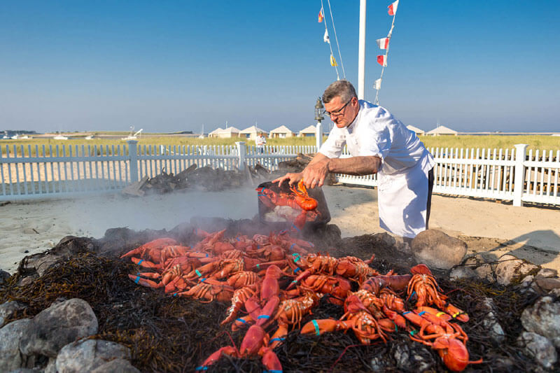 kitchen staff cook big lobsters cape cod island