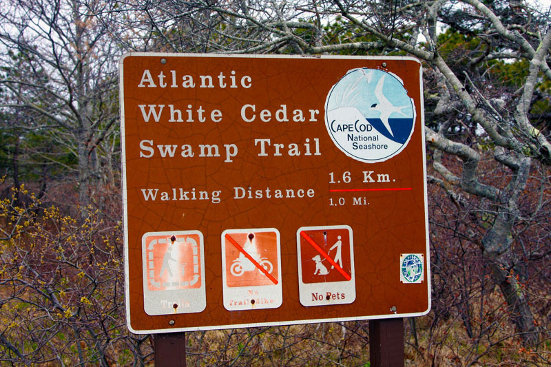 signage atlantic white cedar swamp trail cape cod island