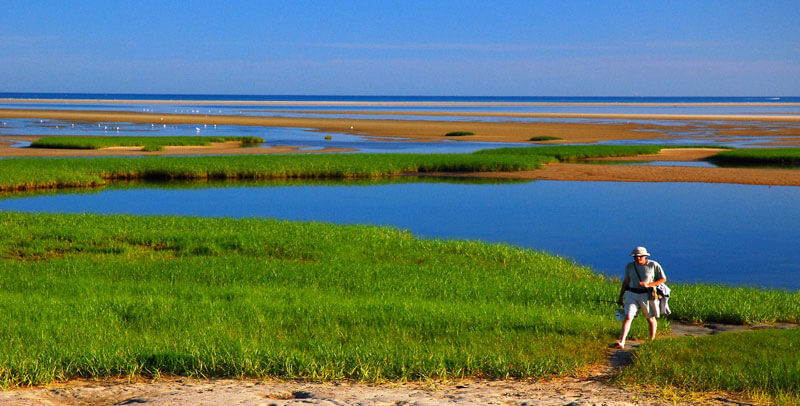 which cape cod town is best? (top 5)