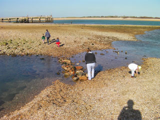 photo people crossing rocks beach cape cod island
