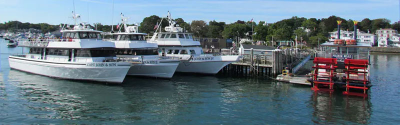 white boats dock cape cod island