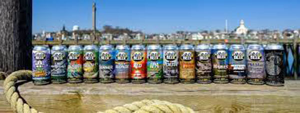 canned bears display outside lined cape cod island