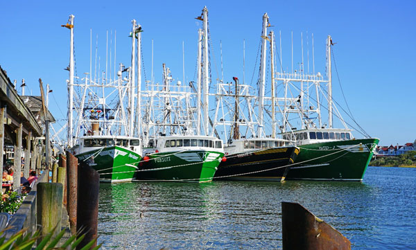 big green sail boats dock cape cod island