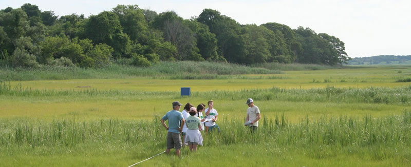 people planning middle grass cape cod island