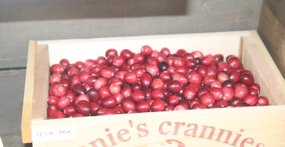cranberry resize