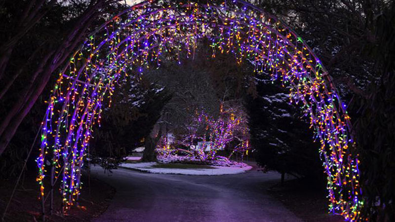 Cape Cod Tree Lightings and Holiday Festivals 2021