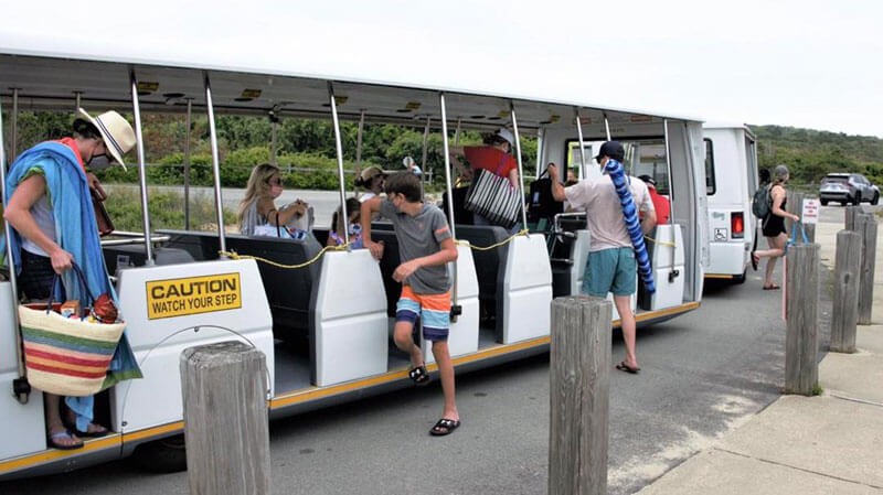Discover 5 Excellent Cape Cod National Seashore Guided Tours 