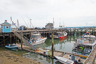 10 best fishing charters in plymouth, massachusetts
