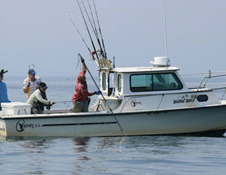 10 best fishing charters in plymouth, massachusetts