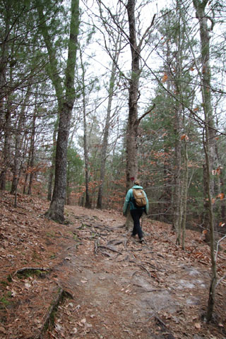 hiking the lowell holly reservation in mashpee, ma