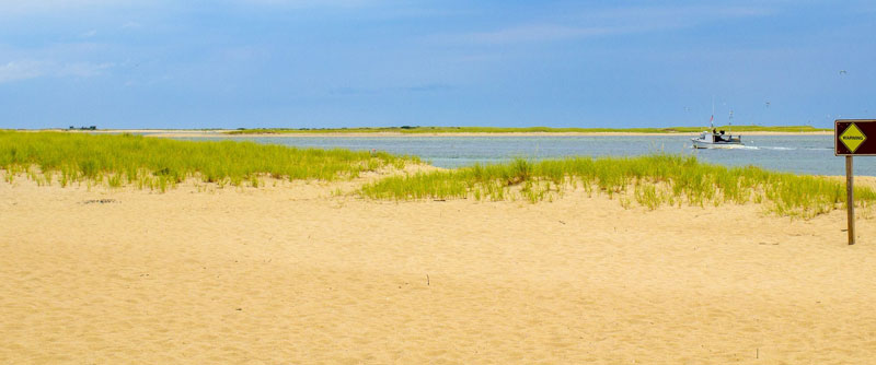 Unwind with 5 Great Leisure Activities on Cape Cod