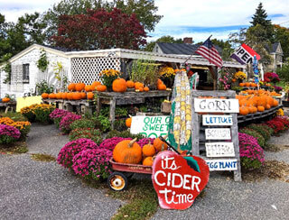 10 ways to support local businesses on cape cod