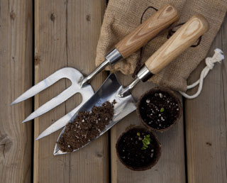 tips for spring gardening on cape cod