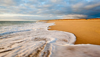 people’s love affair with cape cod