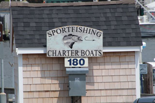 our top 15 cape cod fishing charters