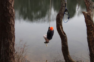 rope swing on long pond trail
