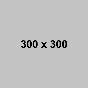 300x600 1