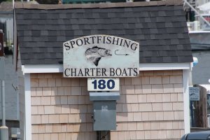 charter boat tours