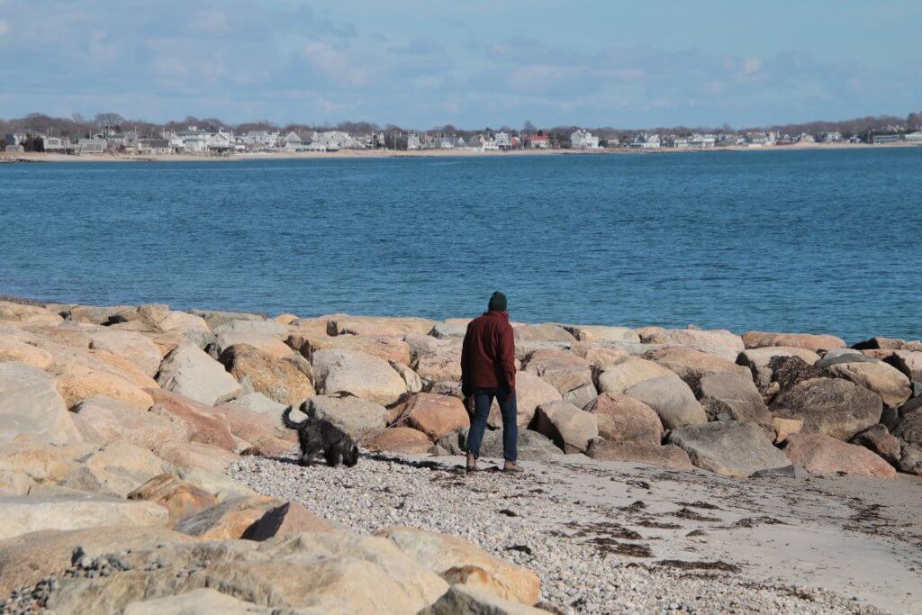 dog friendly beaches on Cape Cod