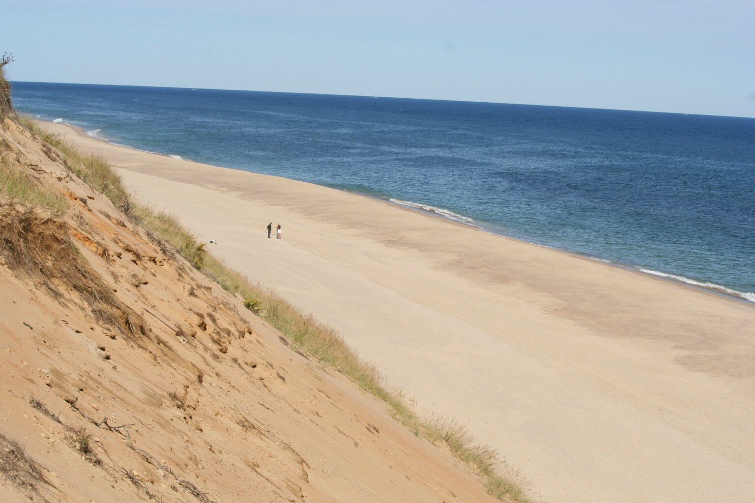 Dog Friendly Beaches On Cape Cod