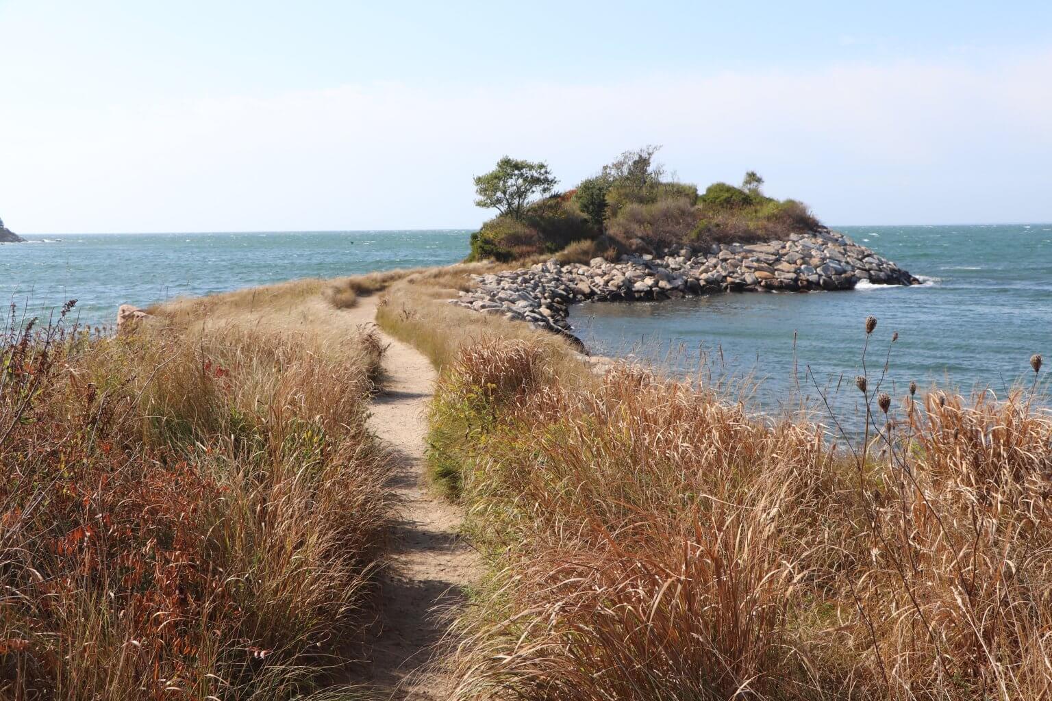 Dog Friendly Beaches On Cape Cod
