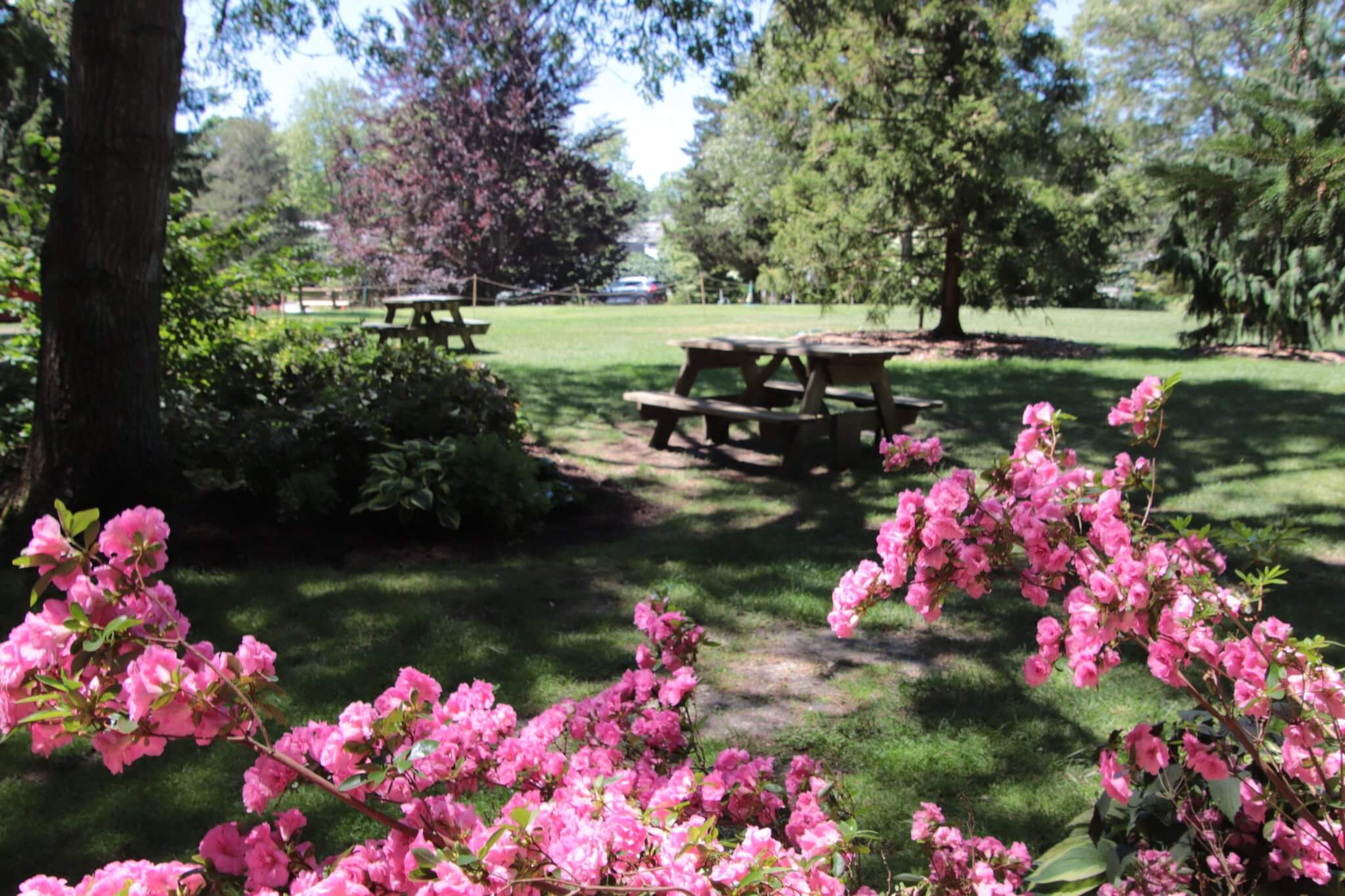 The ArmstrongKelley Park In Osterville CAPE CODXPLORE