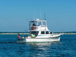 fishing charters out of nantucket