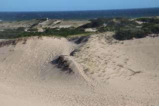 history of the dune shacks of cape cod