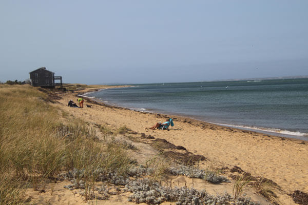 A Guide to the Best Beaches on Martha's Vineyard