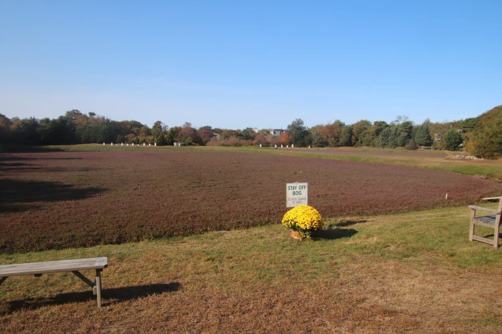 Events To Attend In September On Cape Cod