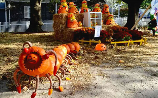 Fabulous Fall Activities for Kids on Cape Cod