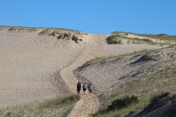 Dune Shack Residencies of Cape Cod