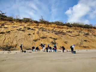 Provincetown's Center for Coastal Studies Beach Cleanups