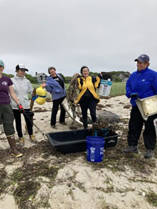 provincetown's center for coastal studies beach cleanups