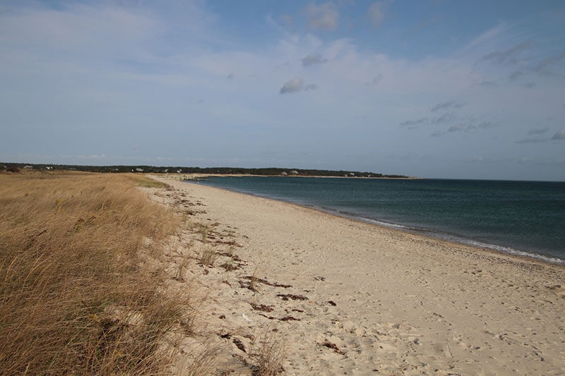 earth day on martha's vineyard: vcs beach clean up & 'art of conservation' contest