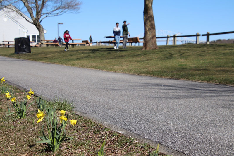 20 Easy Earth Day Events on Cape Cod