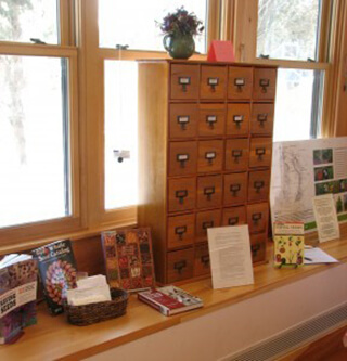 seed libraries on cape cod are sprouting up