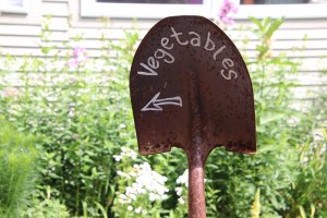 seed libraries on cape cod