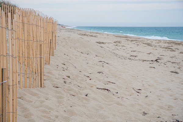 12 best beaches for kids on nantucket 2023 