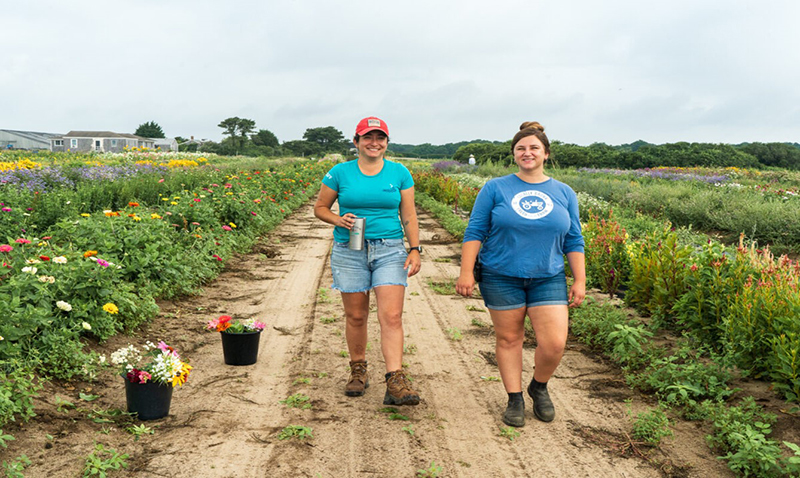 10 best local farms for kids on nantucket