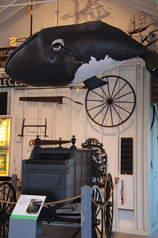 14 exciting museums for children on cape cod