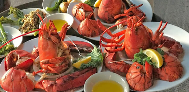 top 20 casual restaurants on cape cod
