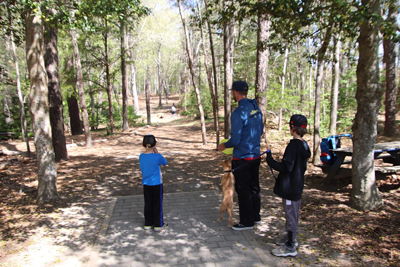 the cape cod disc golf experience